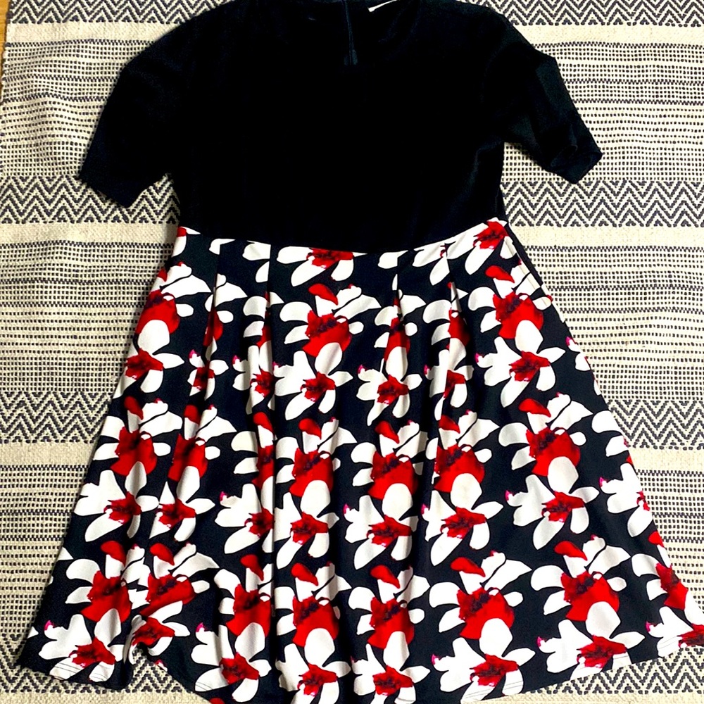 Plus fit and flare dress with pockets